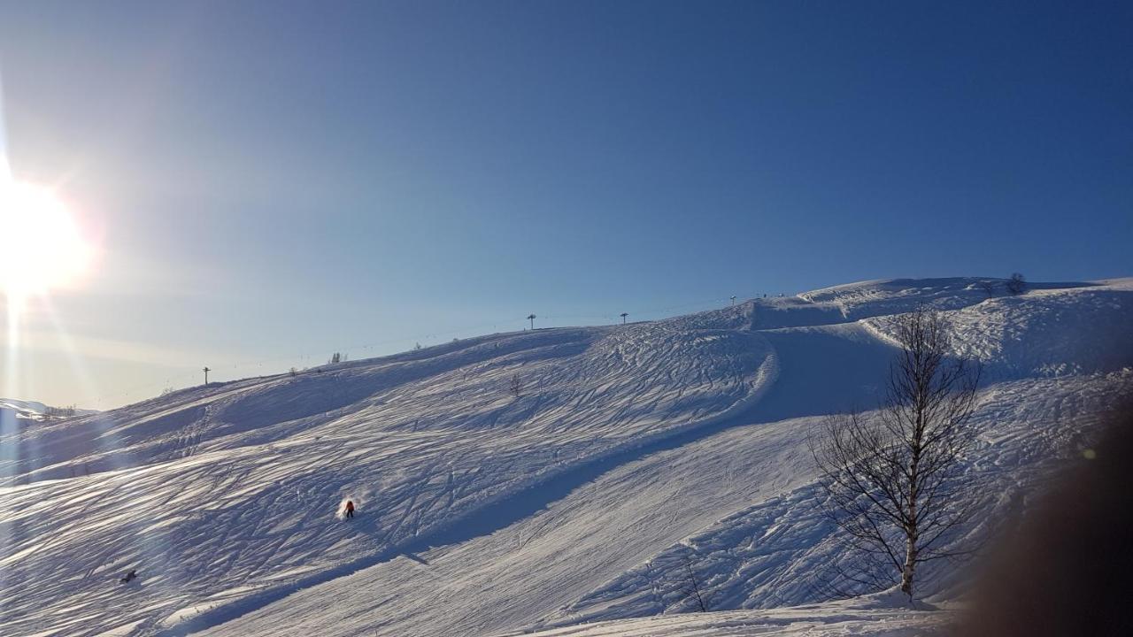 Timblalodgen Sogndal Esterno foto