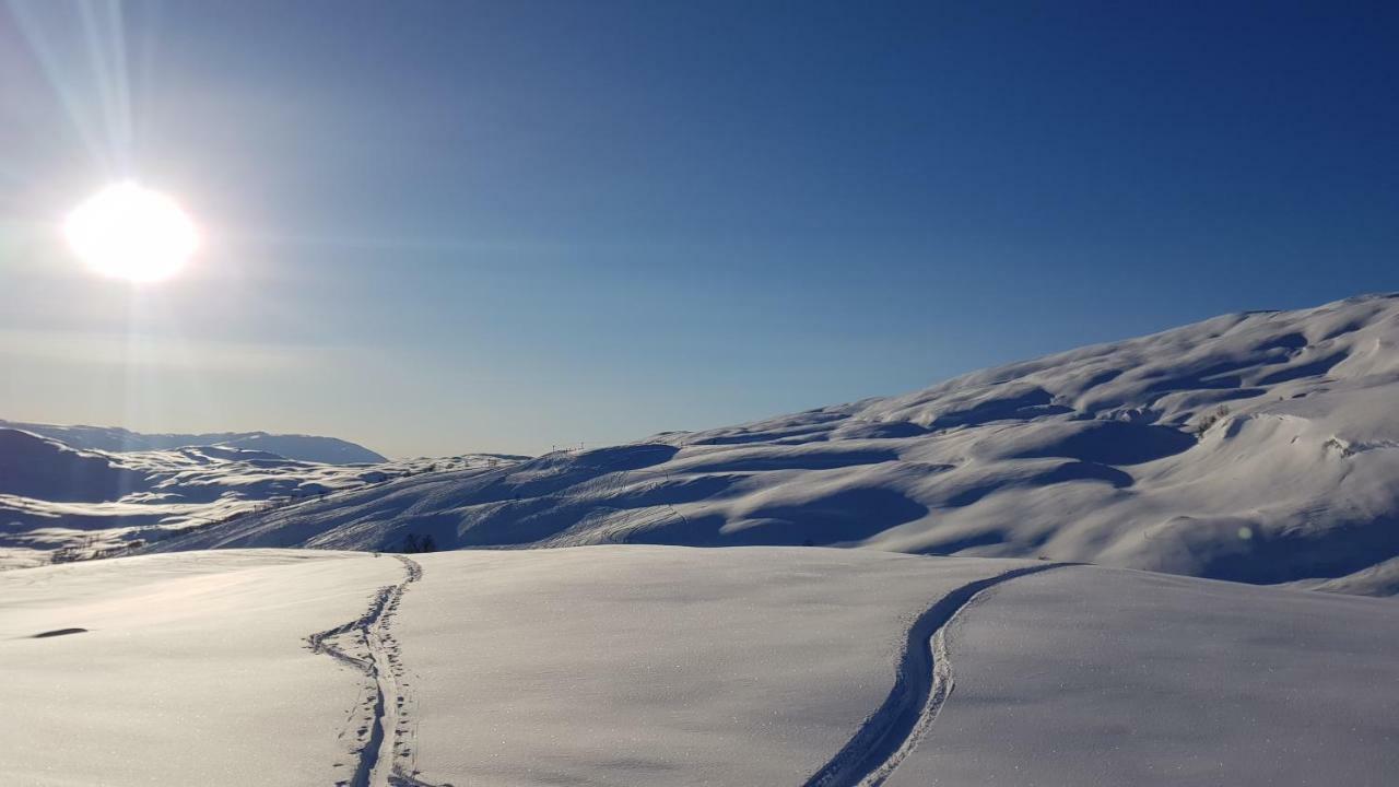 Timblalodgen Sogndal Esterno foto